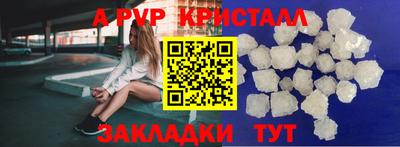 PSILOCYBIN Владимир