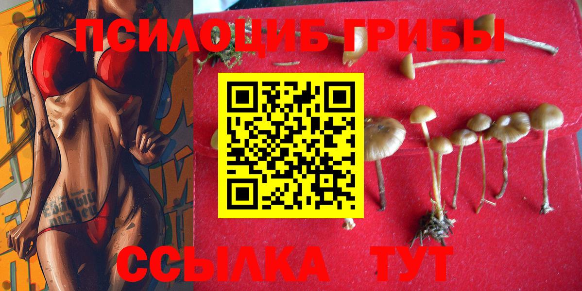 Галлюциногенные грибы MAGIC MUSHROOMS Кострома